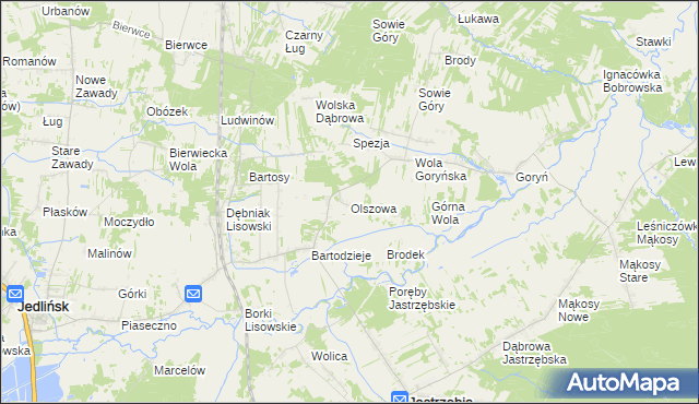 mapa Olszowa gmina Jastrzębia, Olszowa gmina Jastrzębia na mapie Targeo