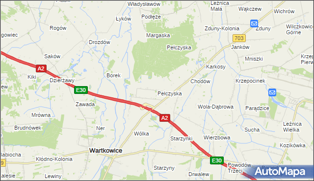 mapa Pełczyska gmina Wartkowice, Pełczyska gmina Wartkowice na mapie Targeo