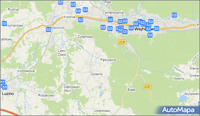 mapa Pętkowice gmina Wejherowo, Pętkowice gmina Wejherowo na mapie Targeo