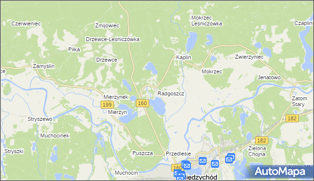 mapa Radgoszcz gmina Międzychód, Radgoszcz gmina Międzychód na mapie Targeo