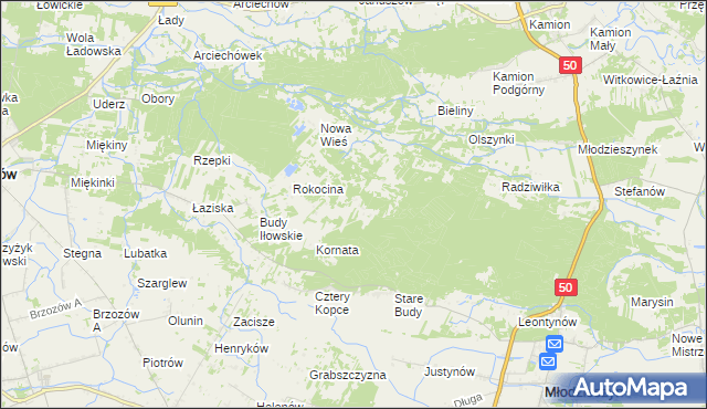 mapa Rokicina, Rokicina na mapie Targeo