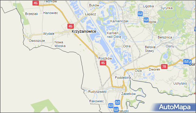 mapa Roszków gmina Krzyżanowice, Roszków gmina Krzyżanowice na mapie Targeo