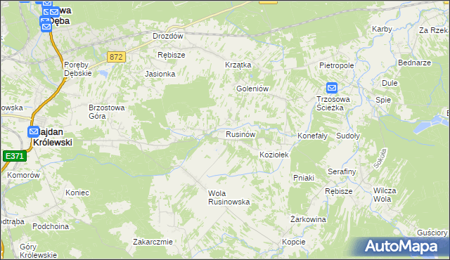 mapa Rusinów gmina Majdan Królewski, Rusinów gmina Majdan Królewski na mapie Targeo