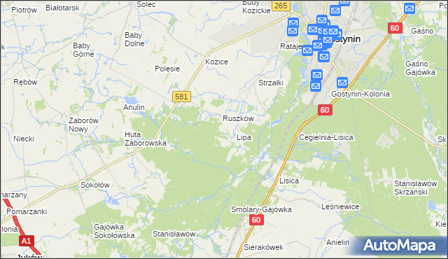 mapa Sałki gmina Gostynin, Sałki gmina Gostynin na mapie Targeo