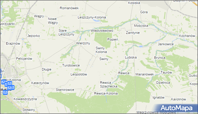 mapa Świny gmina Koluszki, Świny gmina Koluszki na mapie Targeo