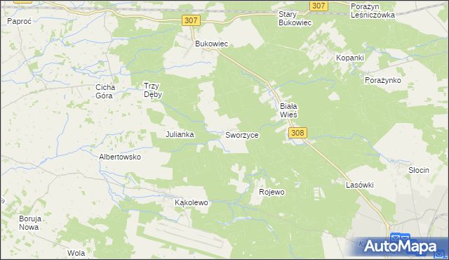 mapa Sworzyce gmina Grodzisk Wielkopolski, Sworzyce gmina Grodzisk Wielkopolski na mapie Targeo