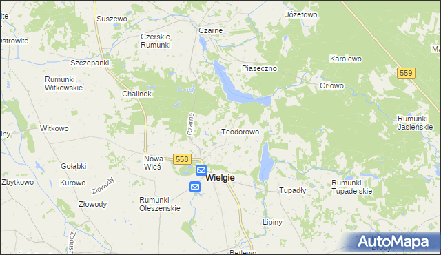 mapa Teodorowo gmina Wielgie, Teodorowo gmina Wielgie na mapie Targeo