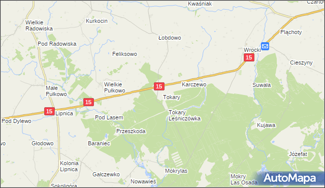 mapa Tokary gmina Golub-Dobrzyń, Tokary gmina Golub-Dobrzyń na mapie Targeo