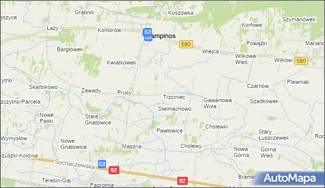 mapa Trzciniec gmina Leszno, Trzciniec gmina Leszno na mapie Targeo