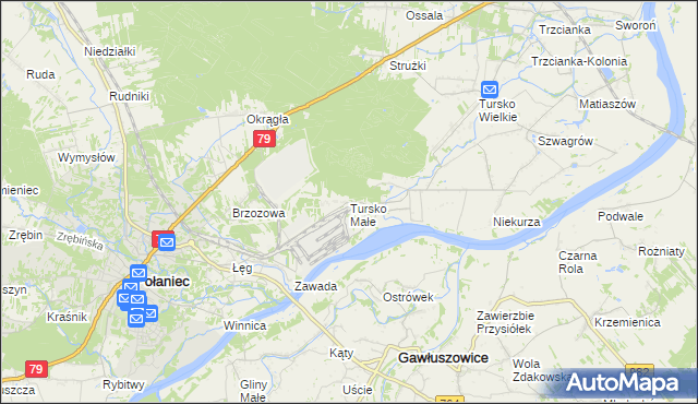 mapa Tursko Małe, Tursko Małe na mapie Targeo