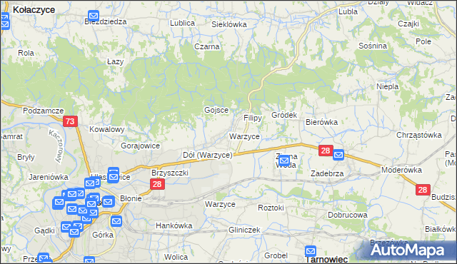 mapa Warzyce, Warzyce na mapie Targeo