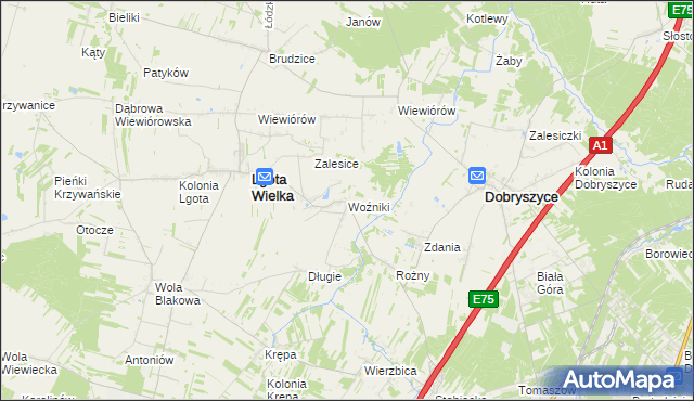 mapa Woźniki gmina Lgota Wielka, Woźniki gmina Lgota Wielka na mapie Targeo