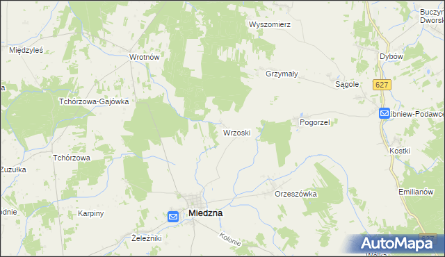 mapa Wrzoski gmina Miedzna, Wrzoski gmina Miedzna na mapie Targeo