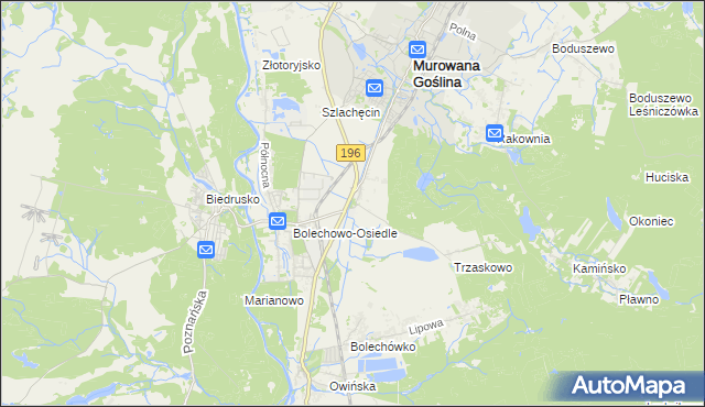 mapa Bolechowo gmina Czerwonak, Bolechowo gmina Czerwonak na mapie Targeo