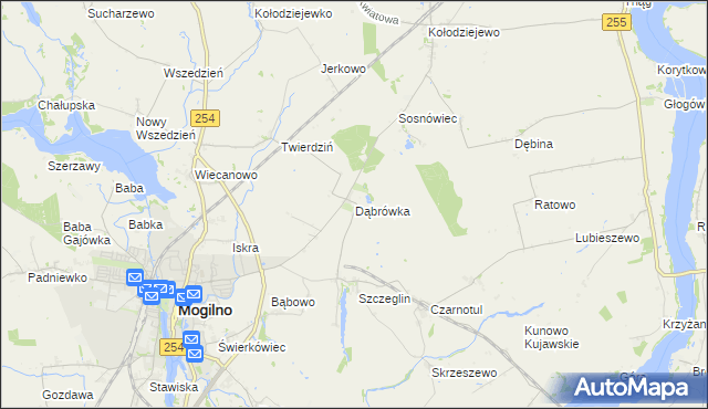 mapa Dąbrówka gmina Mogilno, Dąbrówka gmina Mogilno na mapie Targeo