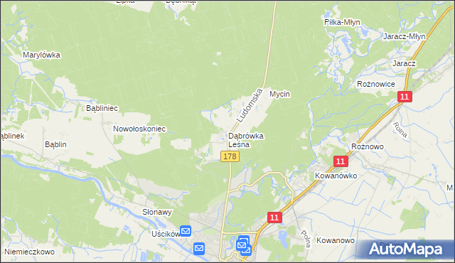 mapa Dąbrówka Leśna, Dąbrówka Leśna na mapie Targeo