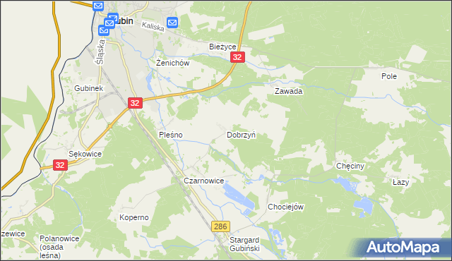 mapa Dobrzyń gmina Gubin, Dobrzyń gmina Gubin na mapie Targeo