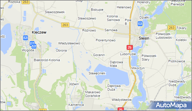 mapa Goraninek gmina Ślesin, Goraninek gmina Ślesin na mapie Targeo