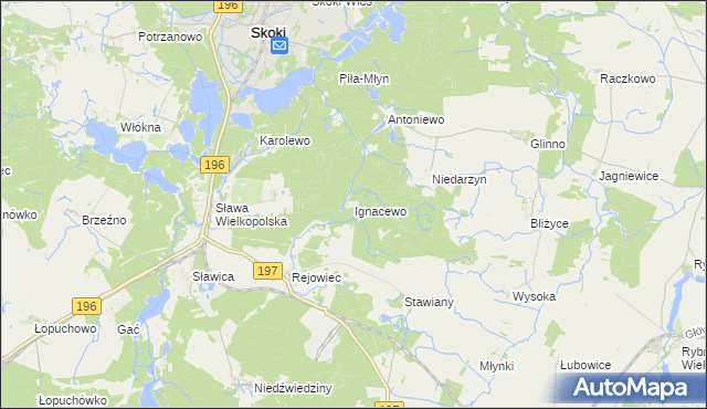 mapa Ignacewo gmina Skoki, Ignacewo gmina Skoki na mapie Targeo