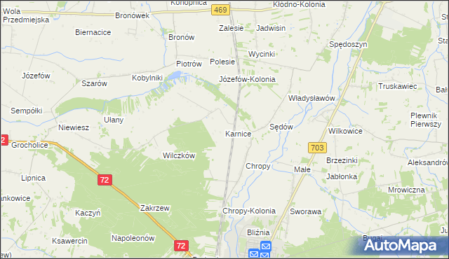 mapa Karnice gmina Poddębice, Karnice gmina Poddębice na mapie Targeo