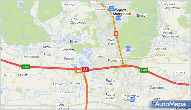 mapa Lipie gmina Głogów Małopolski, Lipie gmina Głogów Małopolski na mapie Targeo