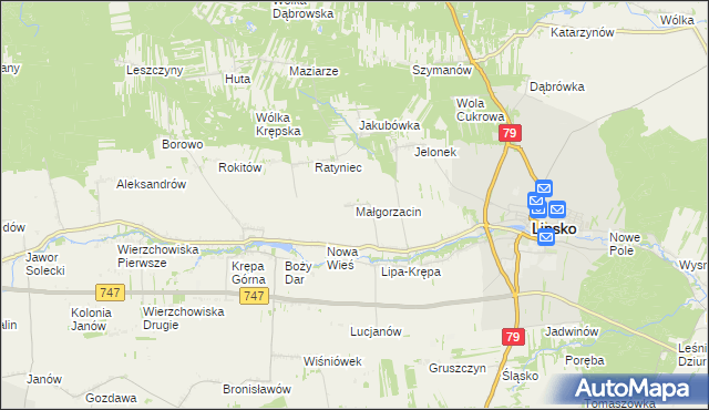 mapa Małgorzacin gmina Lipsko, Małgorzacin gmina Lipsko na mapie Targeo