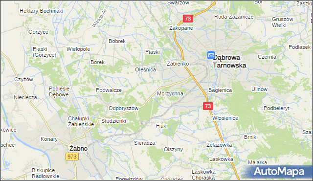 mapa Morzychna, Morzychna na mapie Targeo