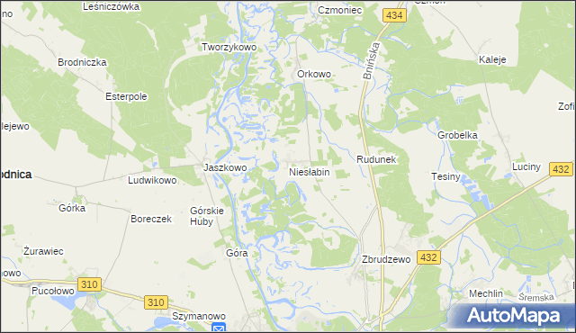 mapa Niesłabin, Niesłabin na mapie Targeo