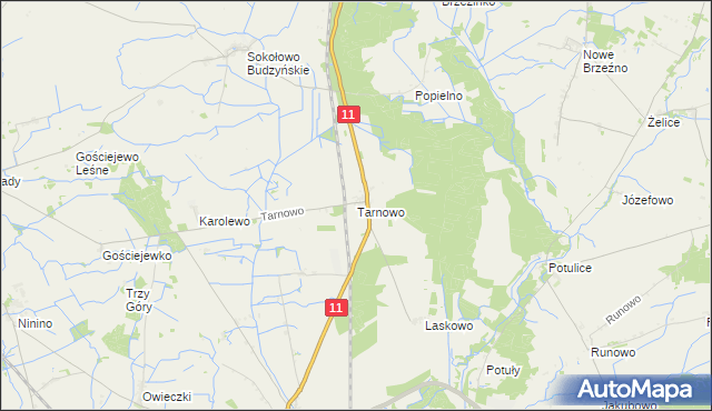 mapa Tarnowo gmina Rogoźno, Tarnowo gmina Rogoźno na mapie Targeo