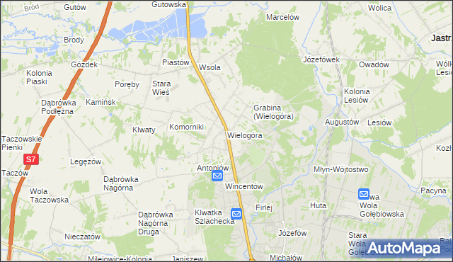 mapa Wielogóra gmina Jedlińsk, Wielogóra gmina Jedlińsk na mapie Targeo