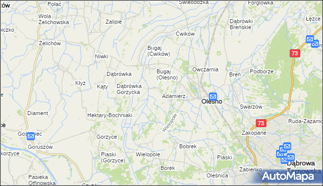 mapa Adamierz gmina Olesno, Adamierz gmina Olesno na mapie Targeo