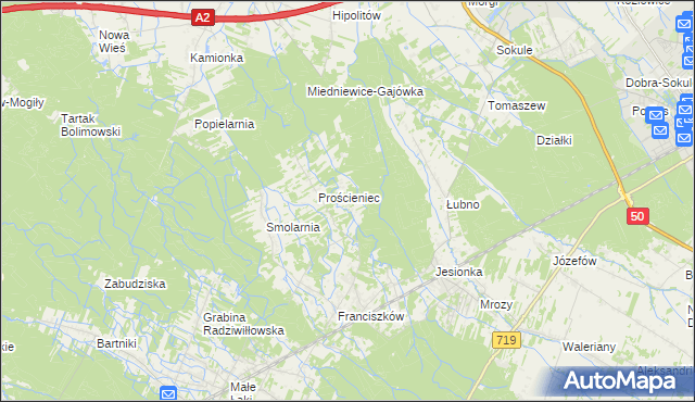 mapa Antoniew gmina Wiskitki, Antoniew gmina Wiskitki na mapie Targeo