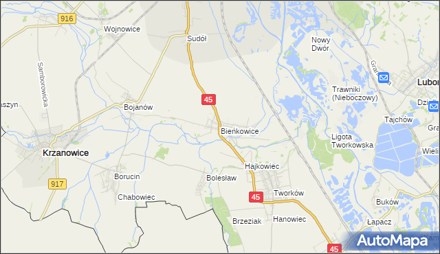 mapa Bieńkowice gmina Krzyżanowice, Bieńkowice gmina Krzyżanowice na mapie Targeo