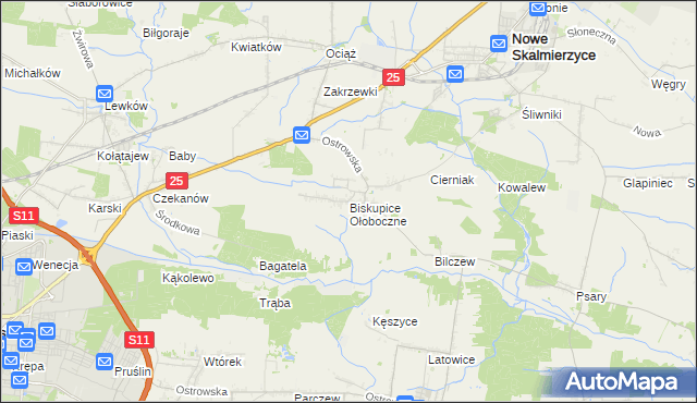 mapa Biskupice Ołoboczne, Biskupice Ołoboczne na mapie Targeo
