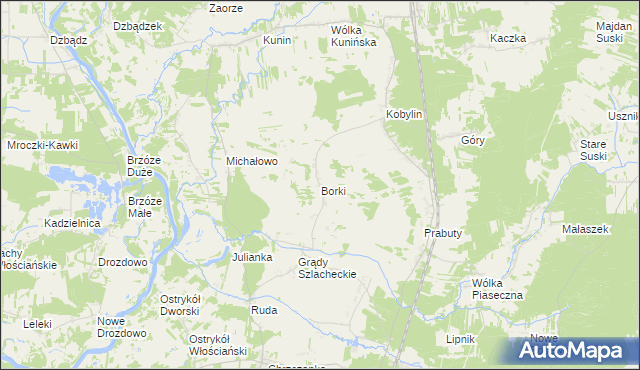 mapa Borki gmina Goworowo, Borki gmina Goworowo na mapie Targeo