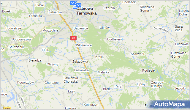 mapa Brnik, Brnik na mapie Targeo