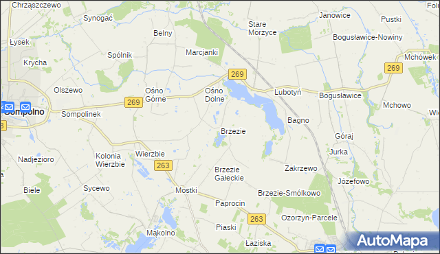 mapa Brzezie gmina Babiak, Brzezie gmina Babiak na mapie Targeo