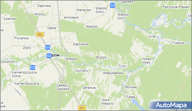 mapa Brzózki gmina Popów, Brzózki gmina Popów na mapie Targeo