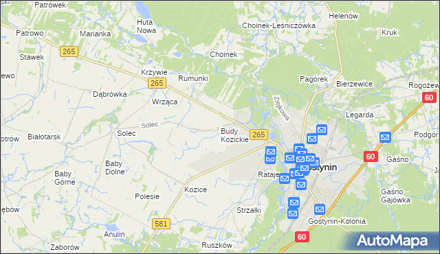 mapa Budy Kozickie, Budy Kozickie na mapie Targeo