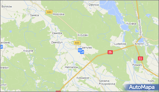 mapa Czarnylas gmina Przygodzice, Czarnylas gmina Przygodzice na mapie Targeo