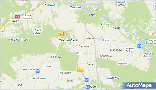 mapa Dąbrowa gmina Popów, Dąbrowa gmina Popów na mapie Targeo