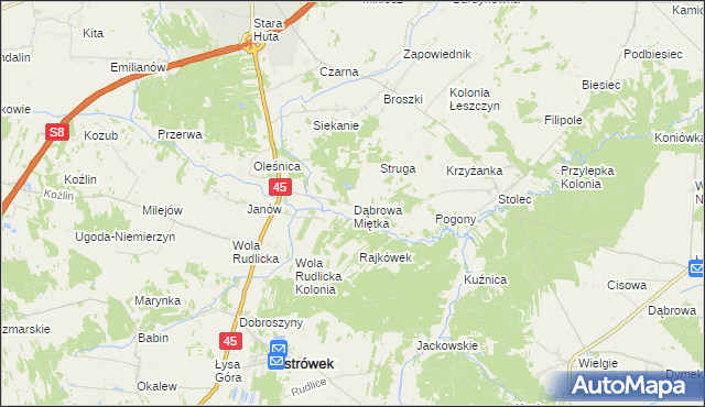 mapa Dąbrowa Miętka, Dąbrowa Miętka na mapie Targeo