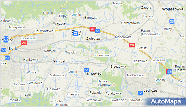 mapa Dobrucowa, Dobrucowa na mapie Targeo
