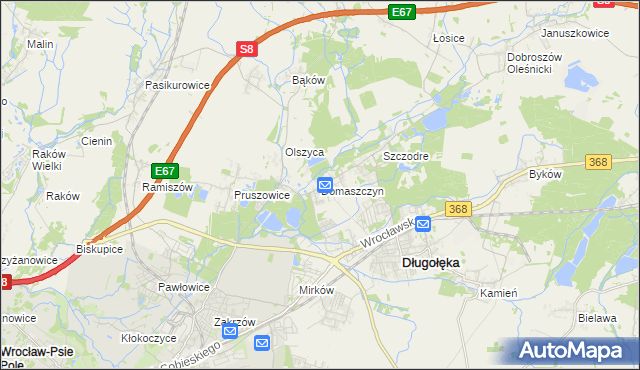 mapa Domaszczyn, Domaszczyn na mapie Targeo