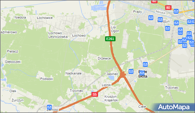 mapa Drzewce gmina Białe Błota, Drzewce gmina Białe Błota na mapie Targeo