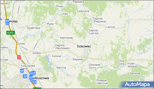 mapa Dzikowiec powiat kolbuszowski, Dzikowiec powiat kolbuszowski na mapie Targeo