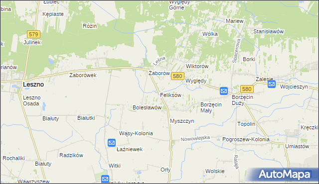 mapa Feliksów gmina Leszno, Feliksów gmina Leszno na mapie Targeo