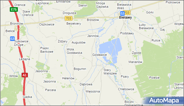 mapa Gosławice gmina Bielawy, Gosławice gmina Bielawy na mapie Targeo