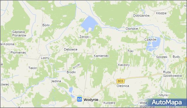 mapa Kamieniec gmina Wodynie, Kamieniec gmina Wodynie na mapie Targeo