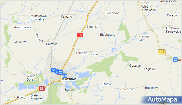 mapa Lipie gmina Miłosław, Lipie gmina Miłosław na mapie Targeo